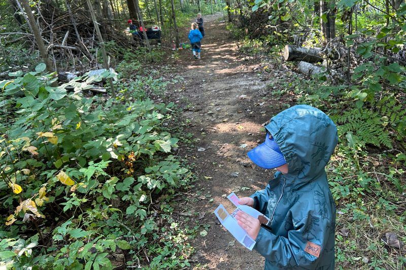 Les jeunes de l’Estrie passent à l’action pour l’environnement